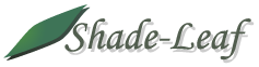 ���^�C�g���C���[�W